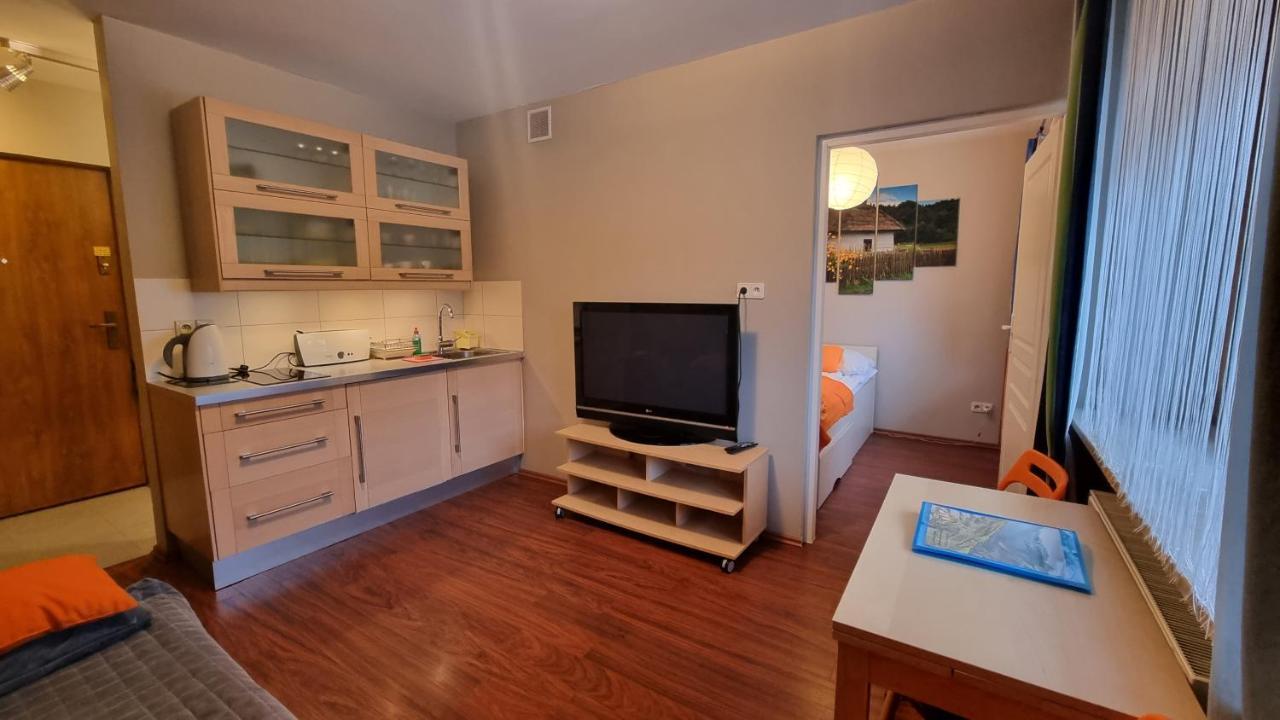 Prestige Park Apartament Mini Z Parkingiem Krynica Zdroj Dış mekan fotoğraf